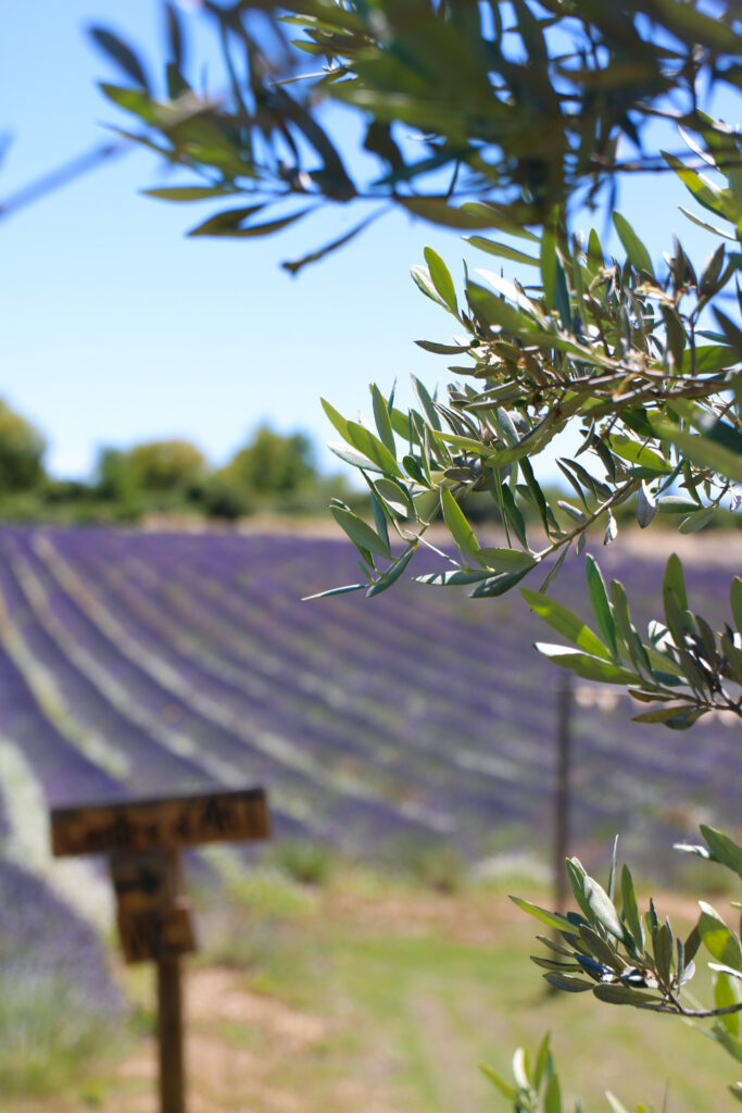 Où prendre l'apéro à Aix-en-Provence
