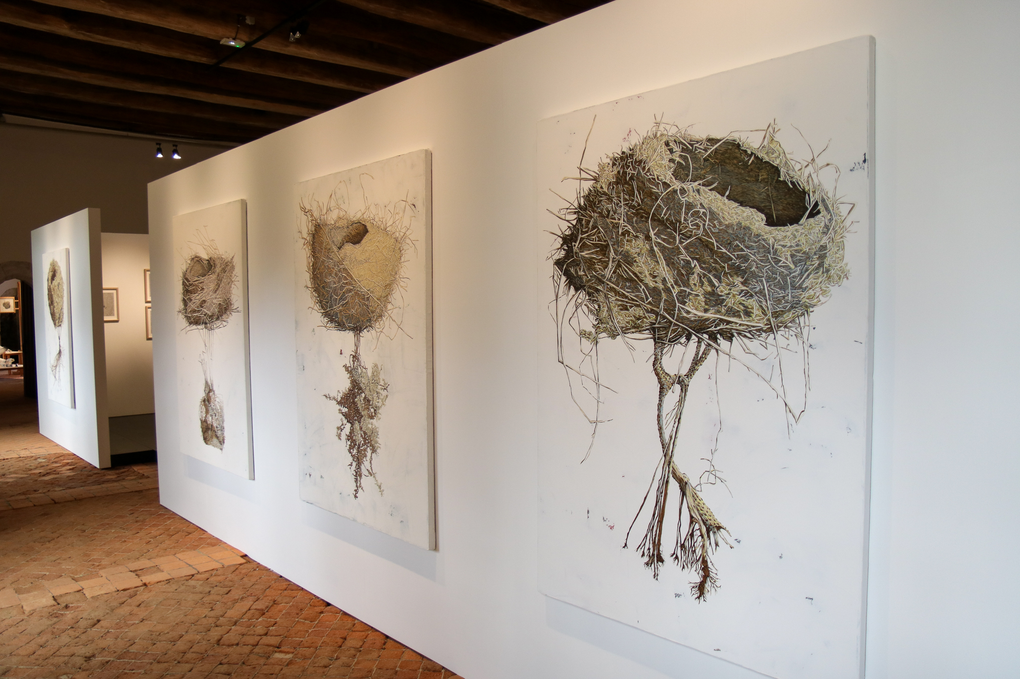 Quoi faire sur la côte de granit rose en Bretagne