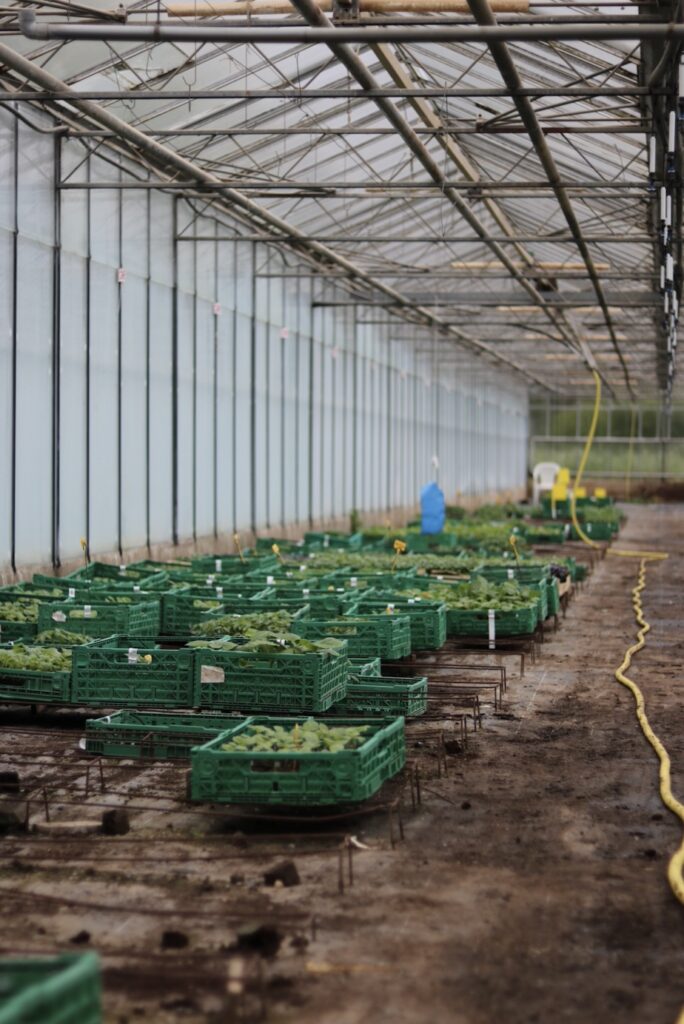 Producteurs locaux Aix-en-Provence