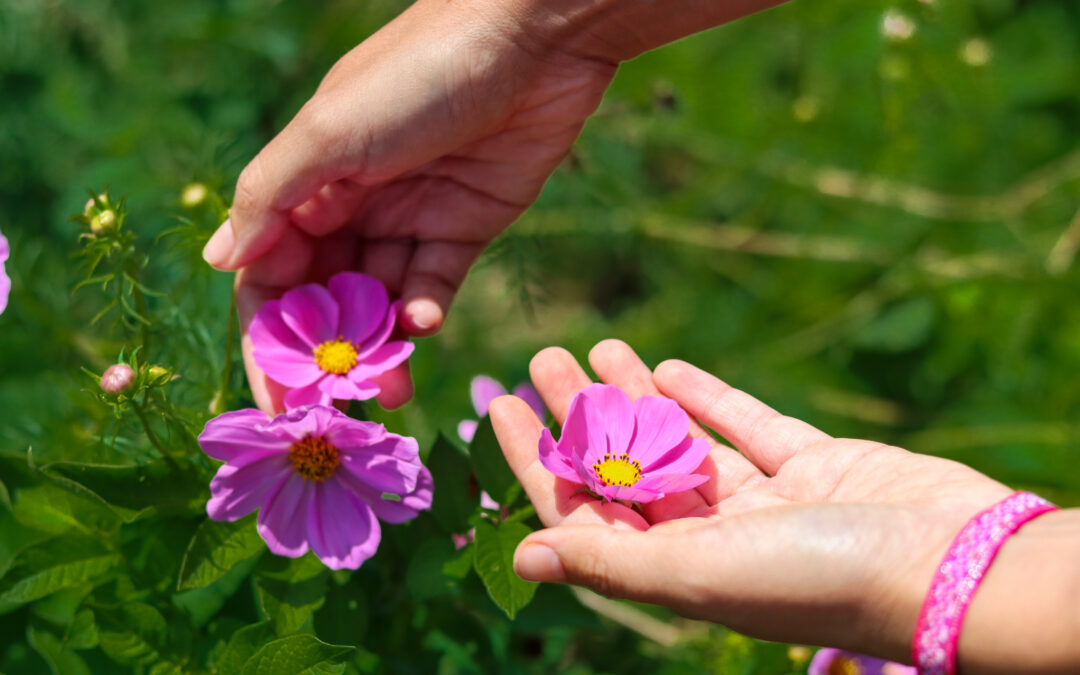 48h au coeur de l&rsquo;éco-lieu Green Lab&rsquo; dans le Vaucluse
